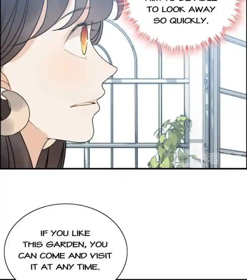 Contract Wife Runs Away From The Ceo Chapter 236