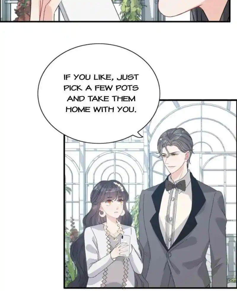 Contract Wife Runs Away From The Ceo Chapter 236