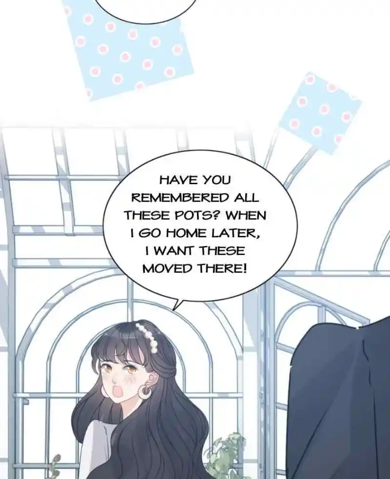 Contract Wife Runs Away From The Ceo Chapter 236