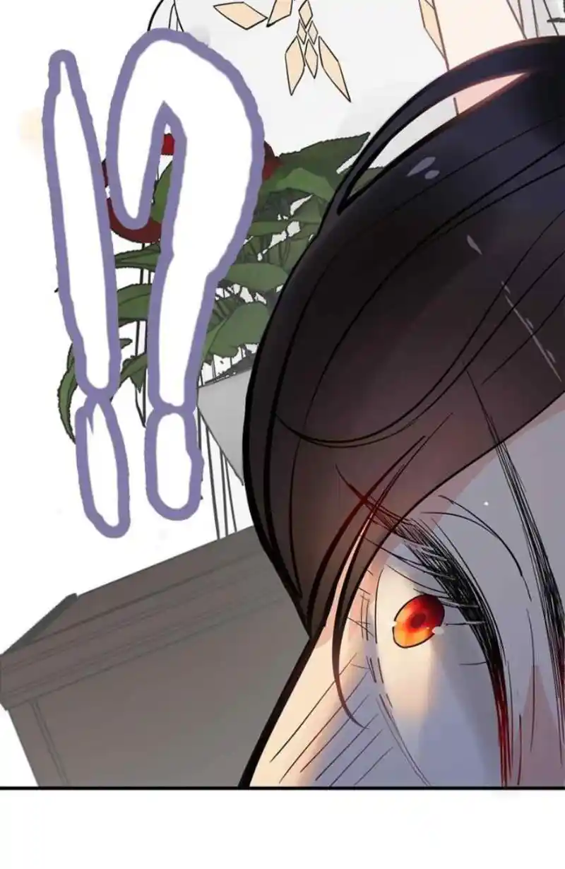 Contract Wife Runs Away From The Ceo Chapter 241