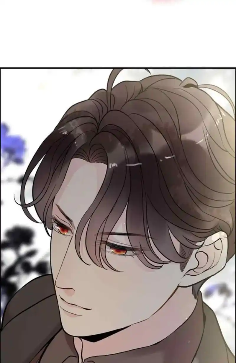 Contract Wife Runs Away From The Ceo Chapter 241