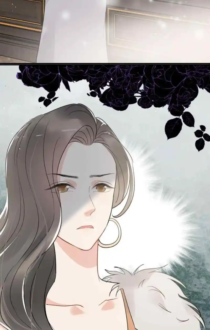 Contract Wife Runs Away From The Ceo Chapter 242