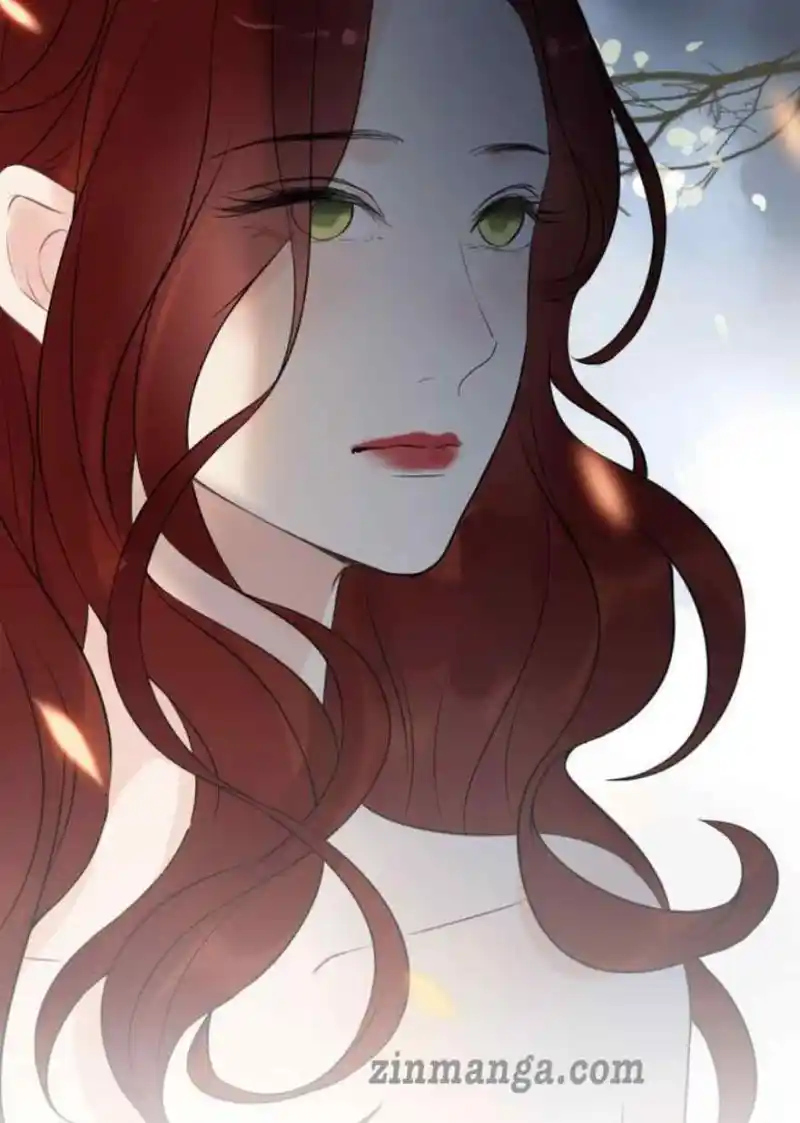 Contract Wife Runs Away From The Ceo Chapter 245