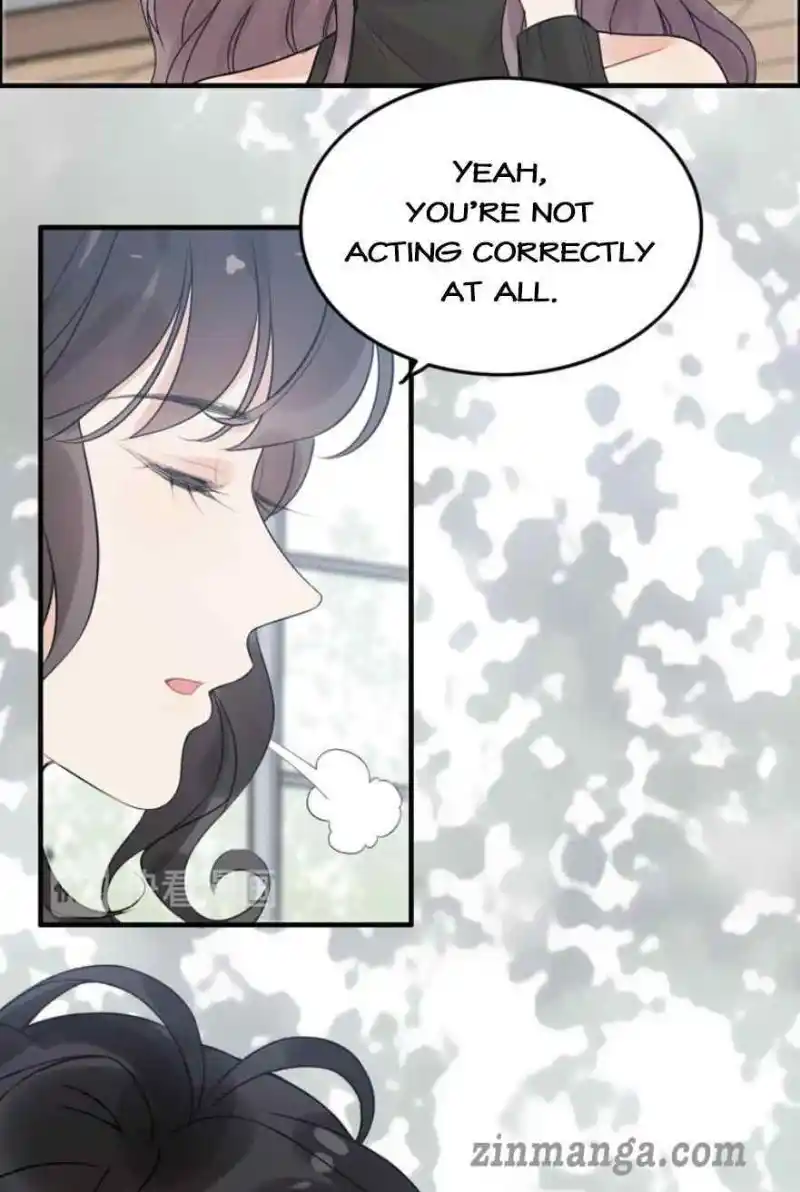 Contract Wife Runs Away From The Ceo Chapter 247