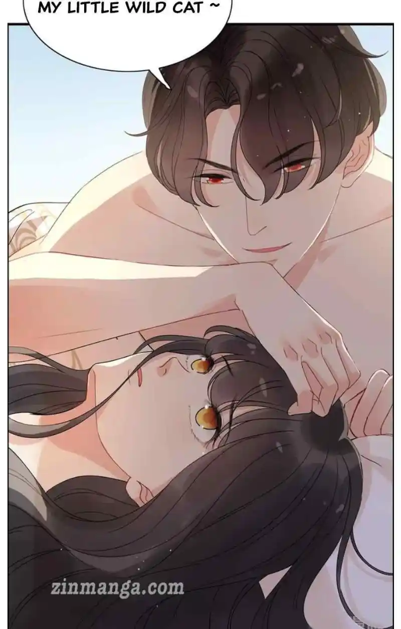 Contract Wife Runs Away From The Ceo Chapter 257