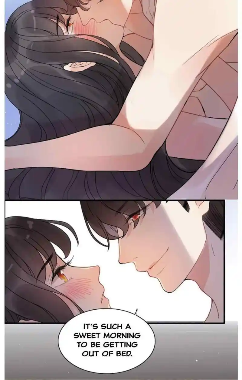 Contract Wife Runs Away From The Ceo Chapter 257