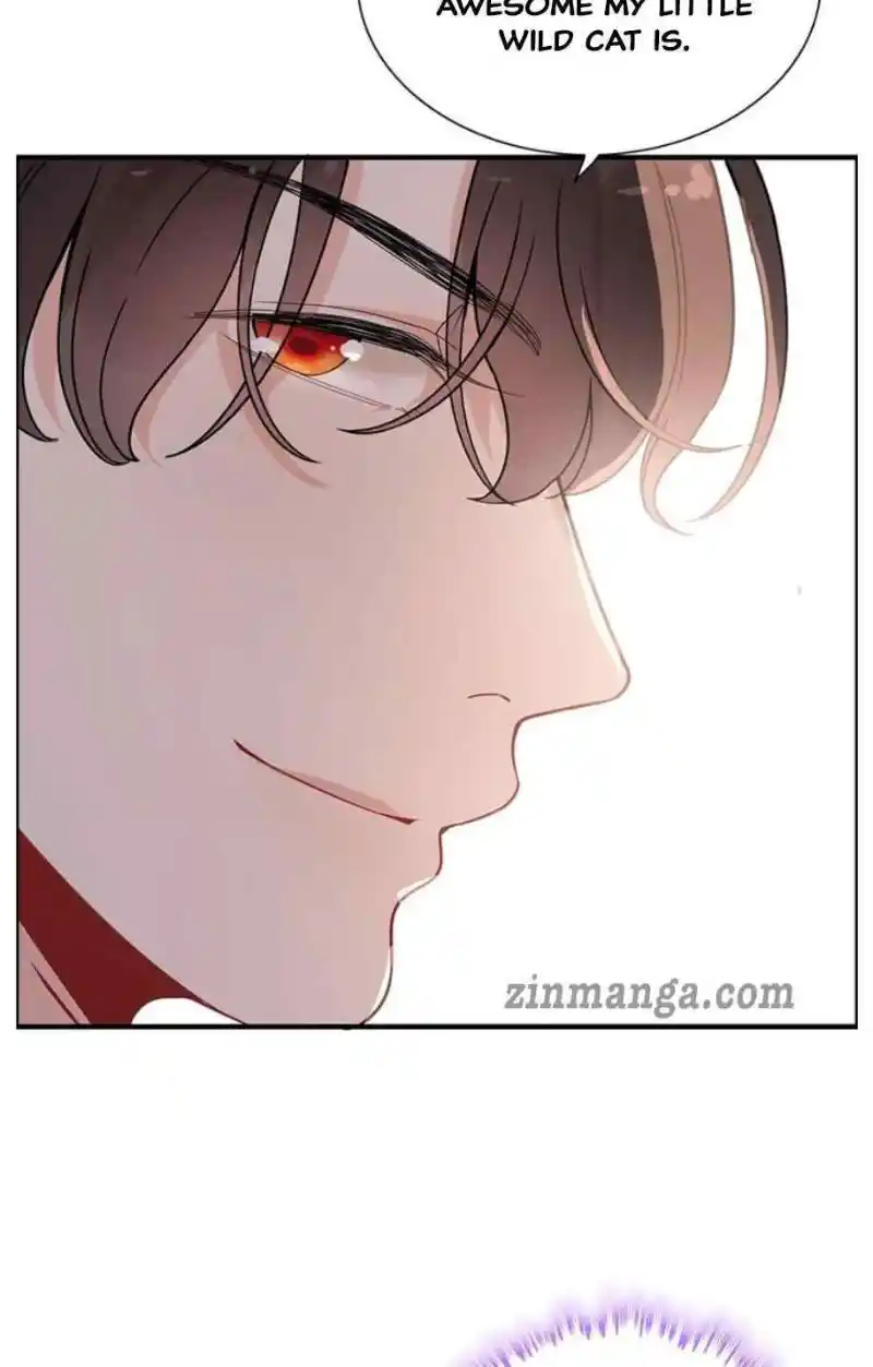 Contract Wife Runs Away From The Ceo Chapter 257