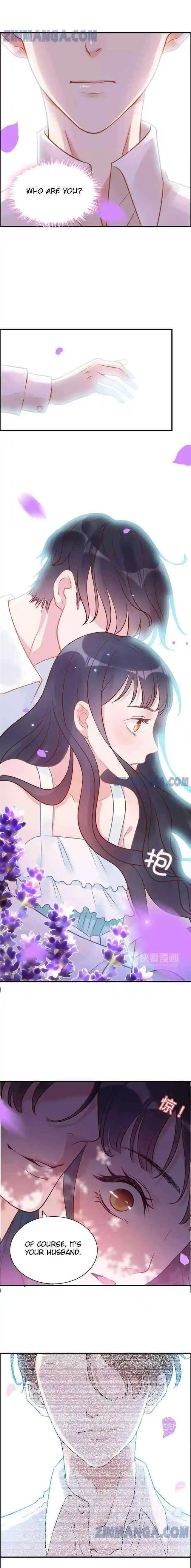 Contract Wife Runs Away From The Ceo Chapter 26