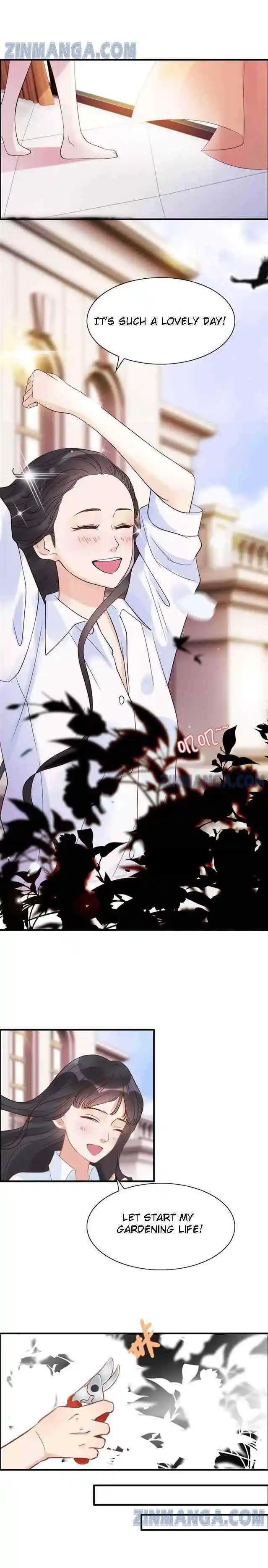 Contract Wife Runs Away From The Ceo Chapter 26