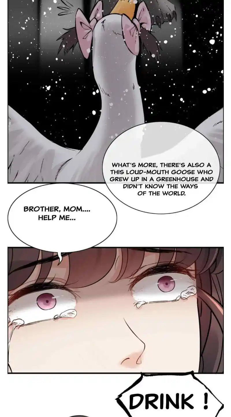 Contract Wife Runs Away From The Ceo Chapter 272