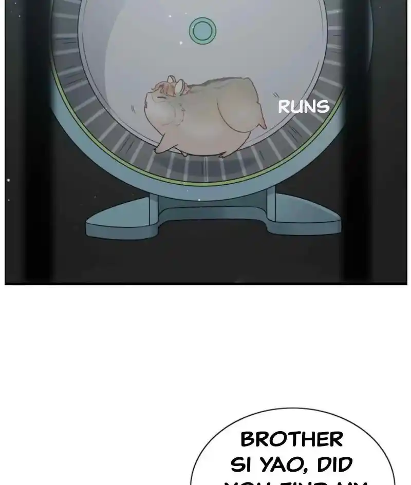 Contract Wife Runs Away From The Ceo Chapter 274