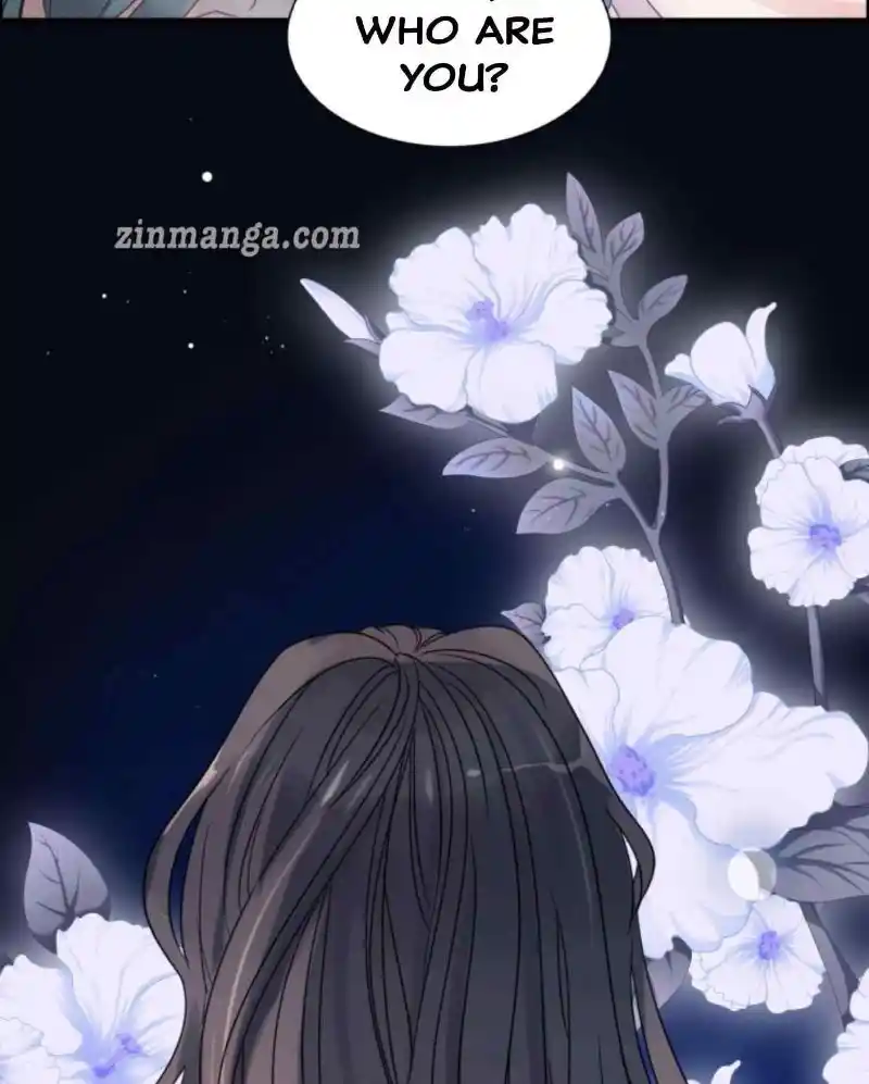 Contract Wife Runs Away From The Ceo Chapter 288