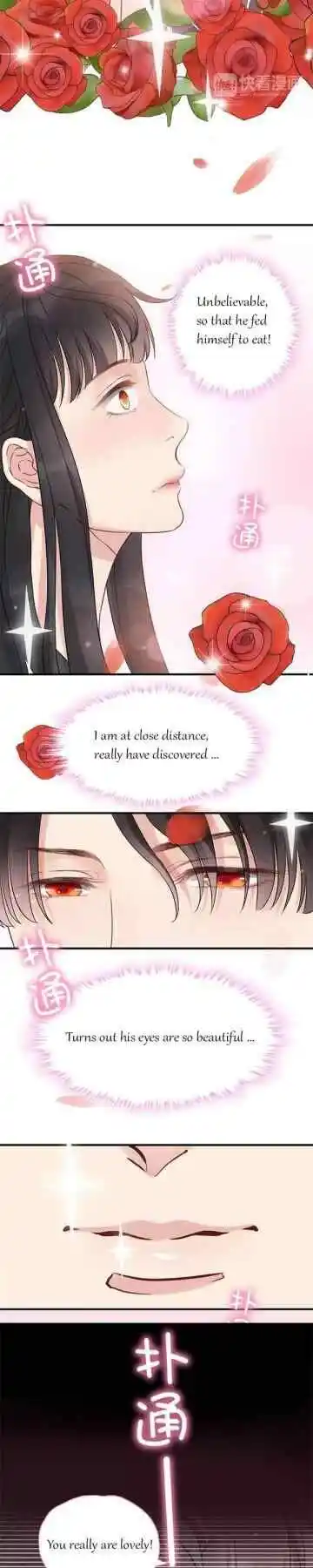 Contract Wife Runs Away From The Ceo Chapter 8