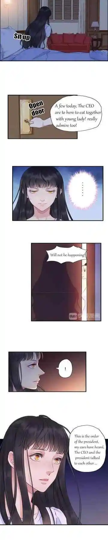 Contract Wife Runs Away From The Ceo Chapter 8