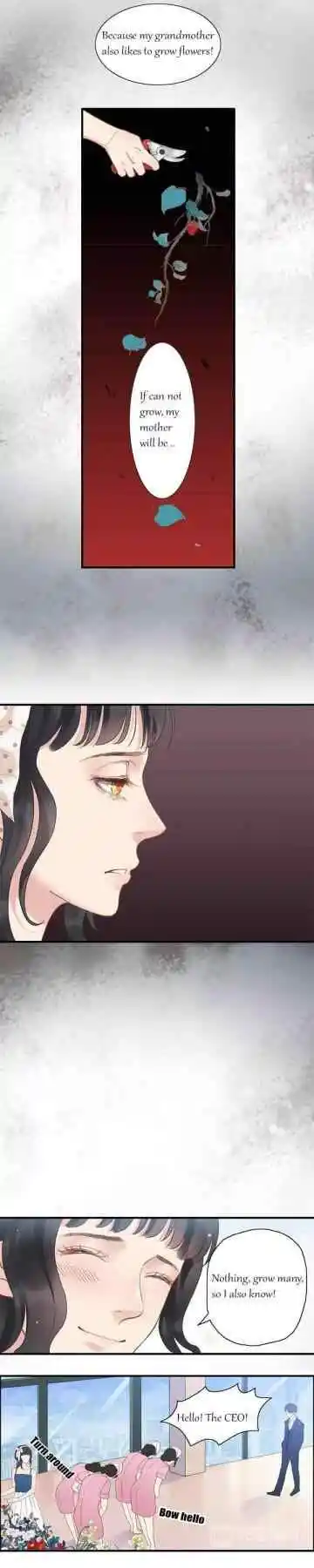 Contract Wife Runs Away From The Ceo Chapter 9