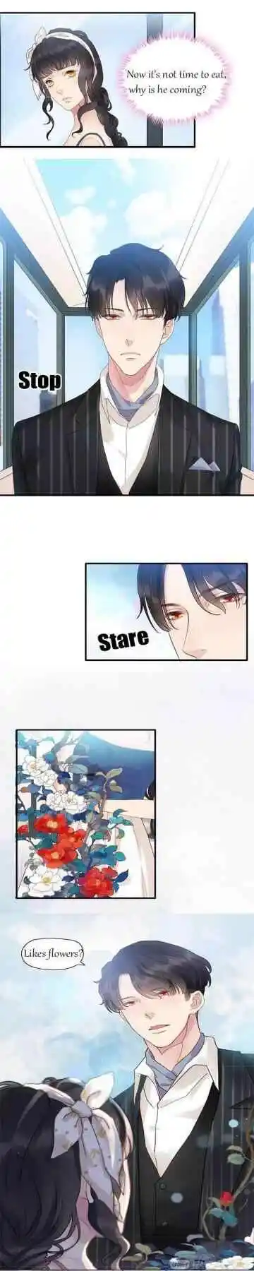 Contract Wife Runs Away From The Ceo Chapter 9