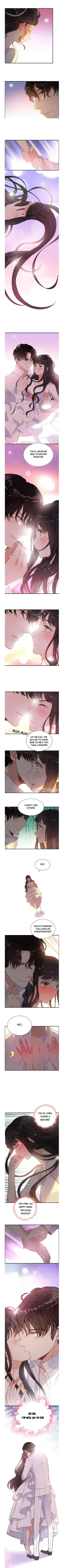 Contract Wife Runs Away From The Ceo Chapter 96