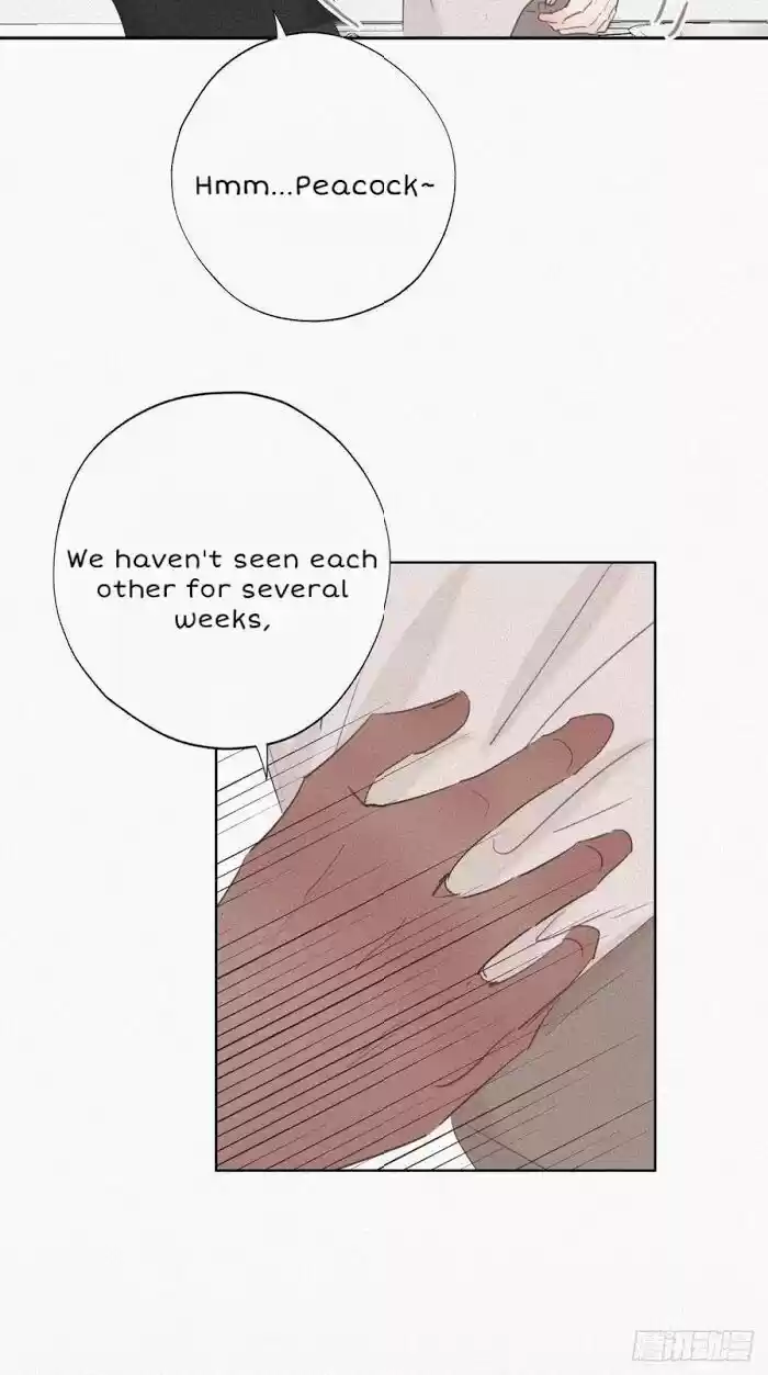 Counterattack Through Pregnancy Vol.01 Ch.052