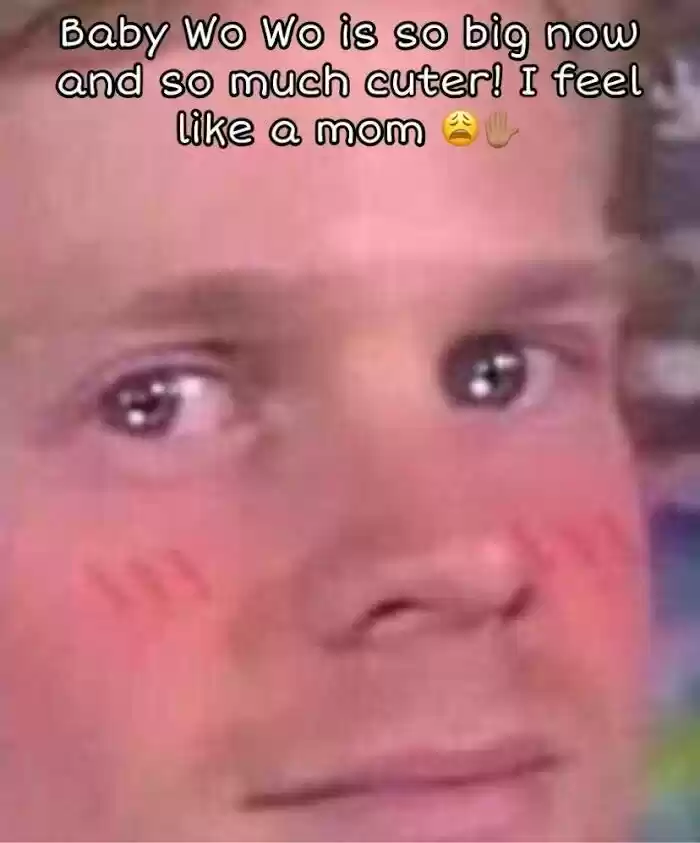 Counterattack Through Pregnancy Vol.01 Ch.087