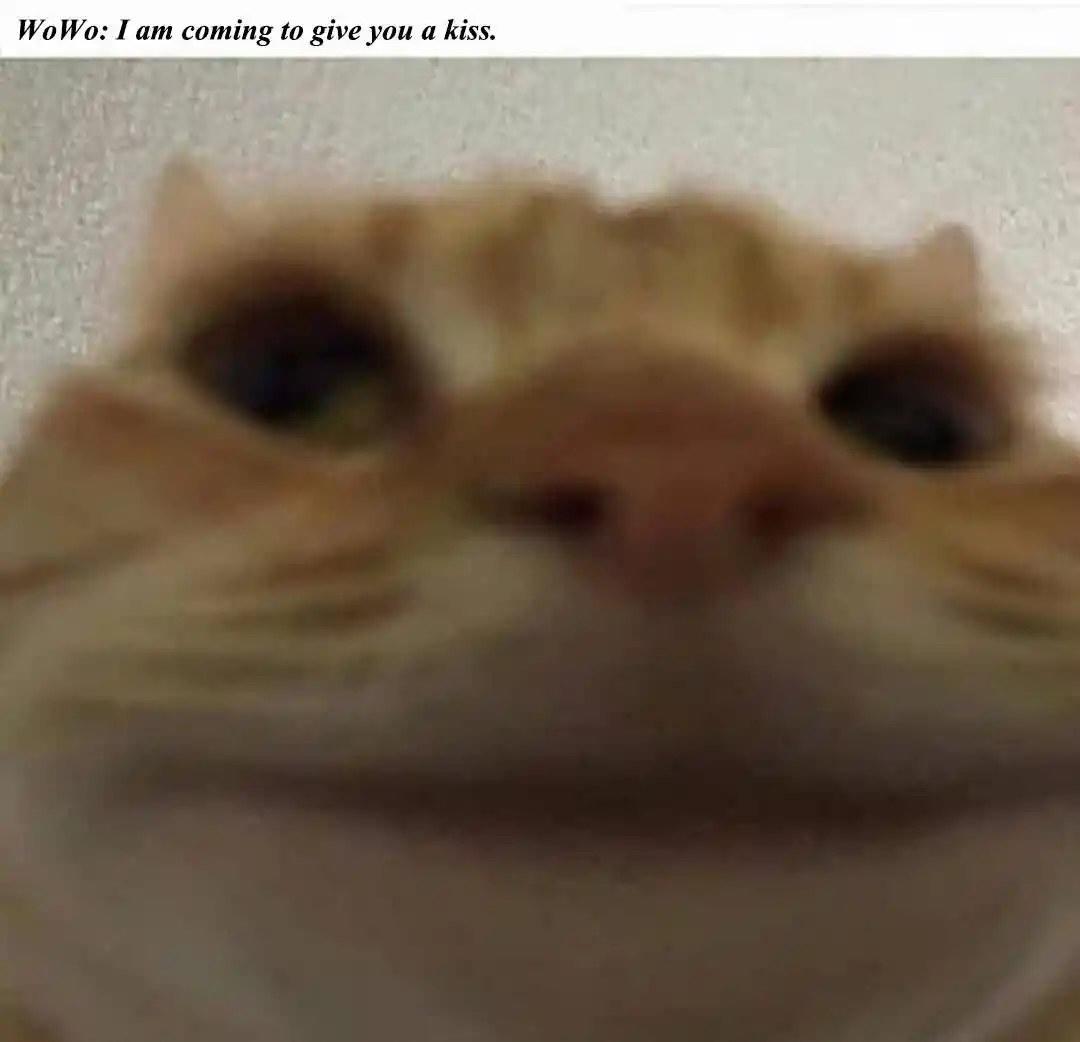 Counterattack Through Pregnancy Vol.01 Ch.222