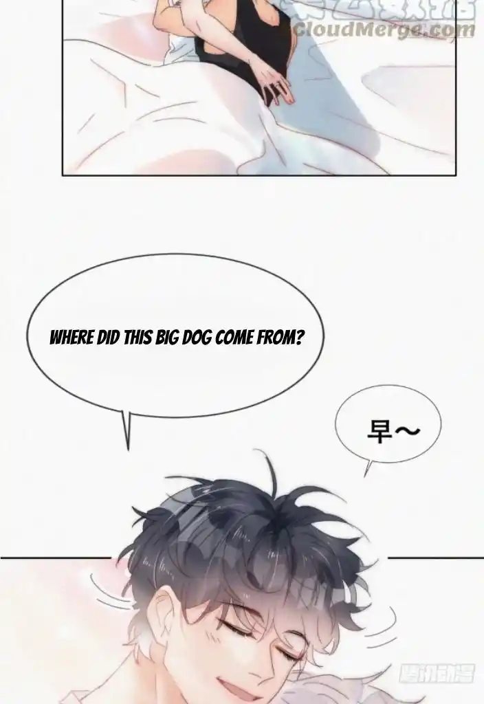 Counterattack Through Pregnancy Vol.01 Ch.316