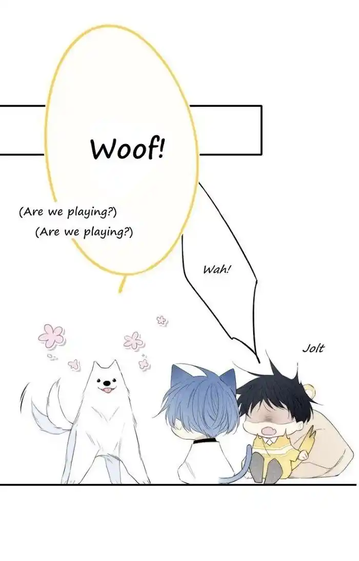 Cry for Me Vol.01 Ch.147