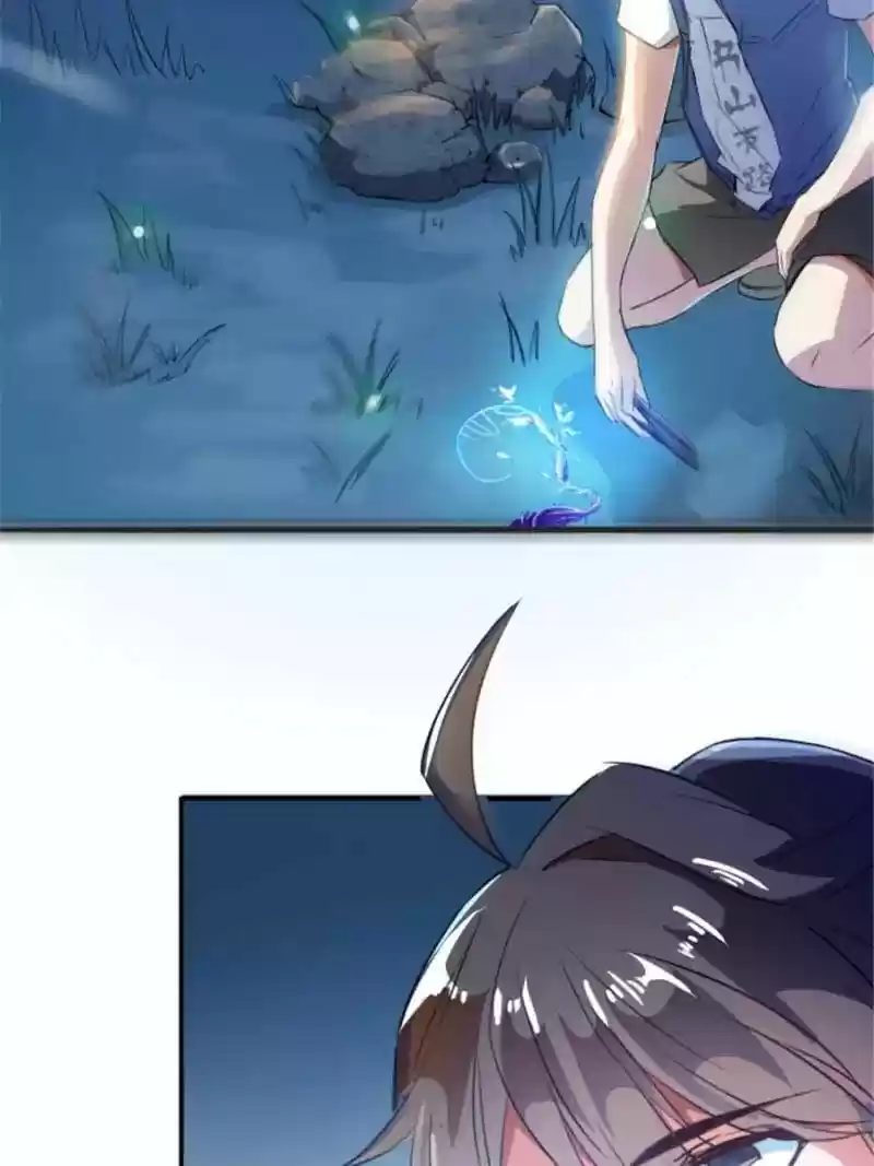 Cultivation Chat Group 13