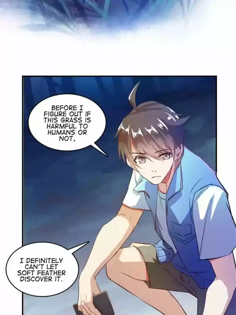 Cultivation Chat Group 13