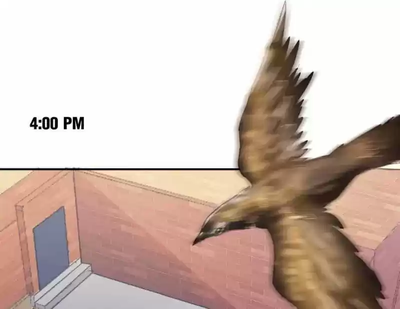 Cultivation Chat Group 29