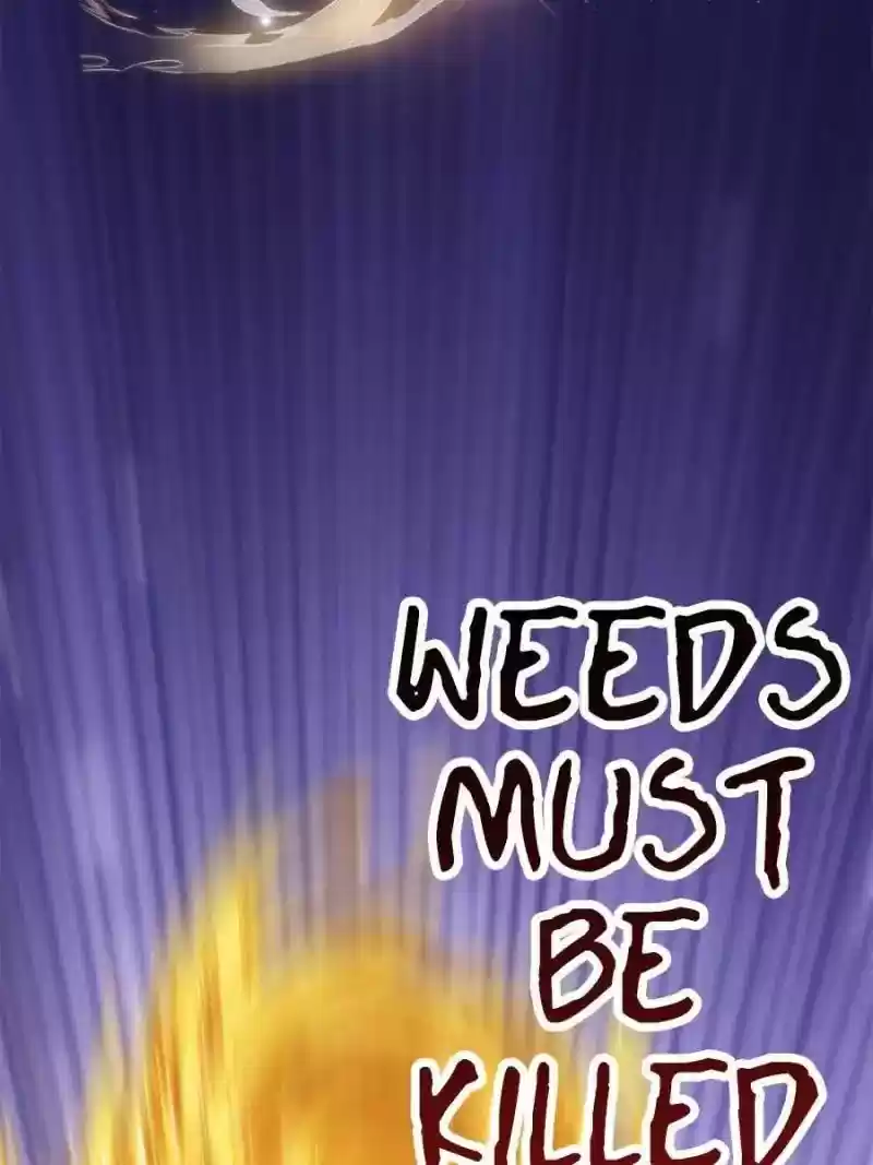 Cultivation Chat Group 38