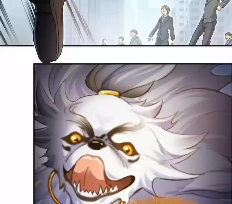 Cultivation Chat Group 62