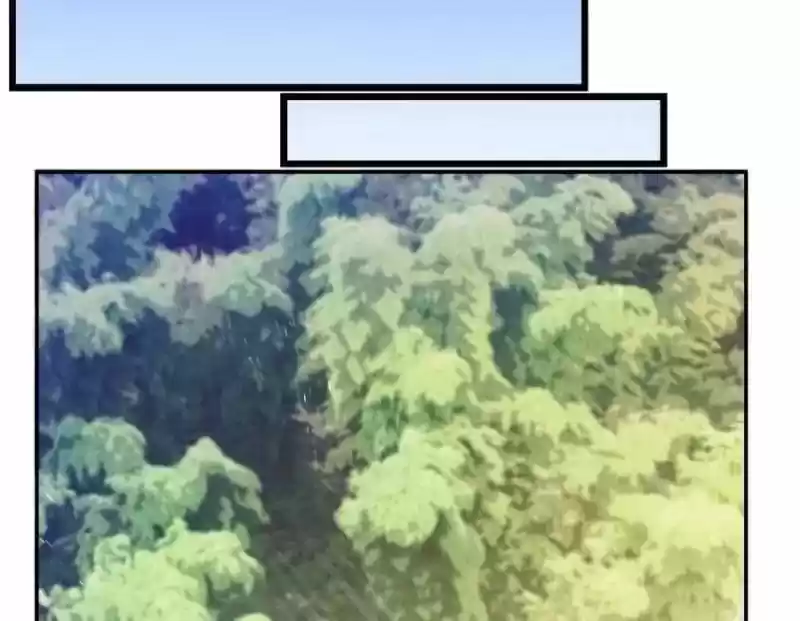 Cultivation Chat Group 65