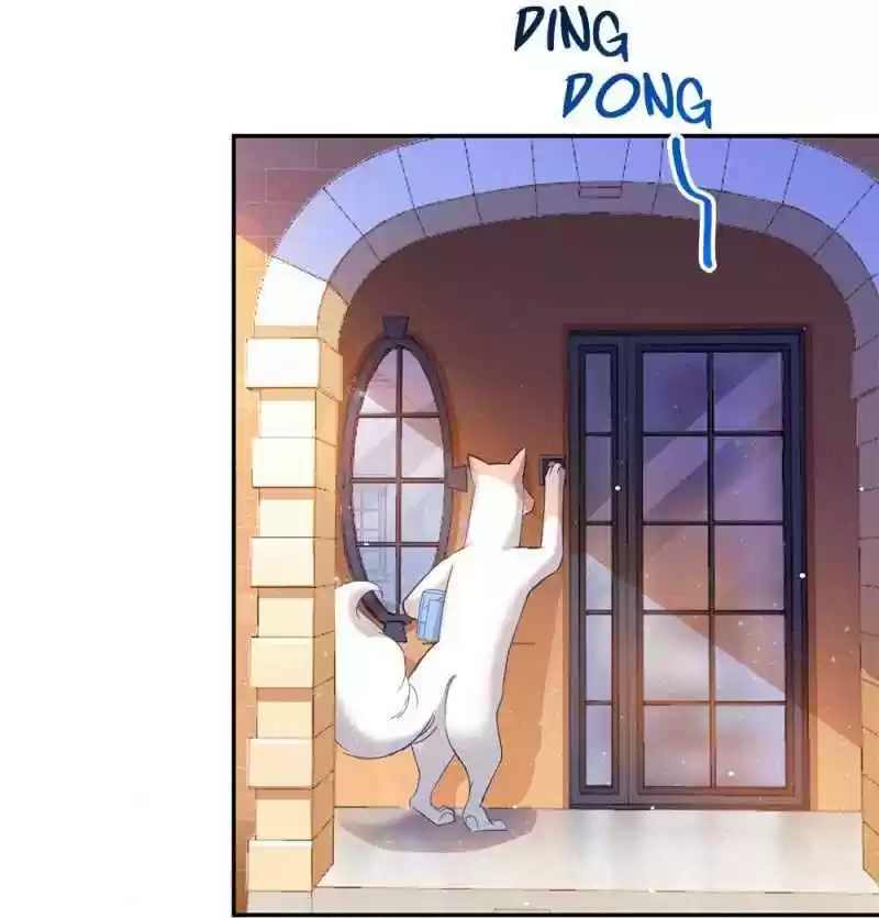 Cultivation Chat Group Ch.79