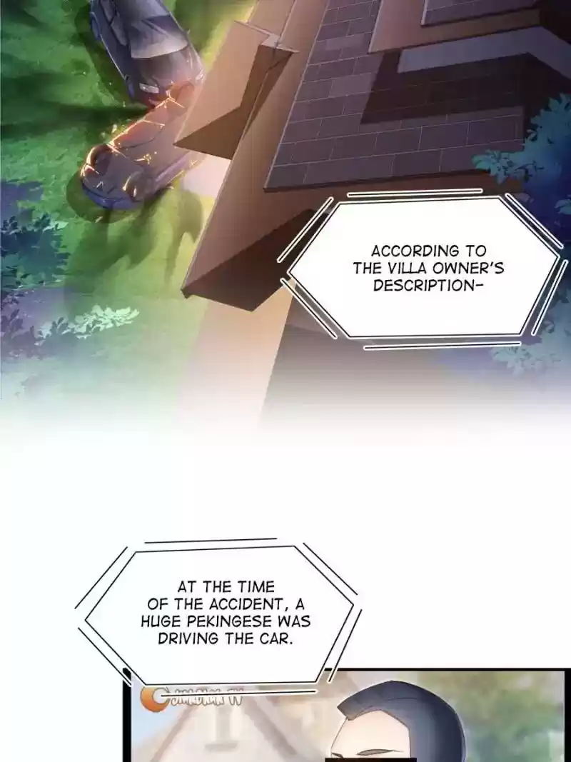 Cultivation Chat Group Chapter 141