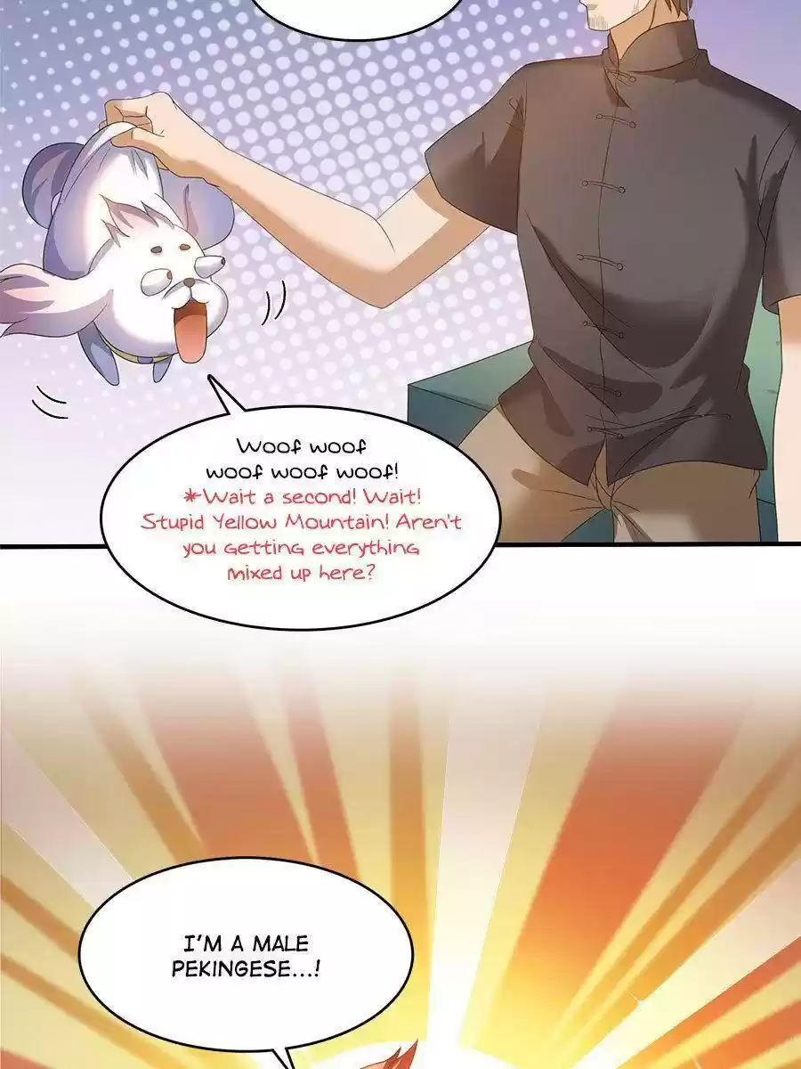 Cultivation Chat Group Chapter 254