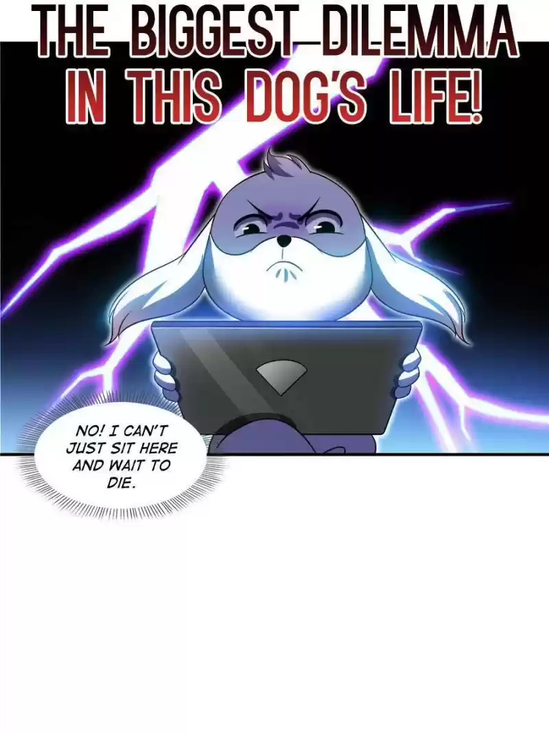 Cultivation Chat Group Chapter 325