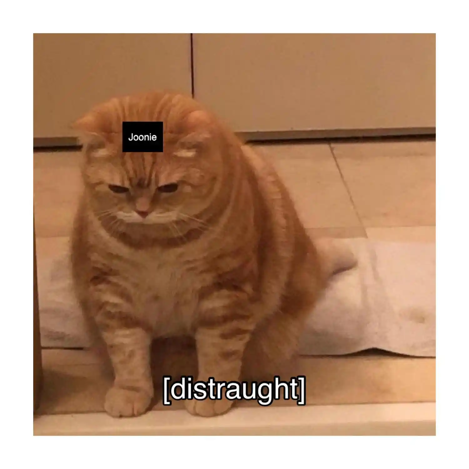 Dangerous Convenience Store Chapter 61