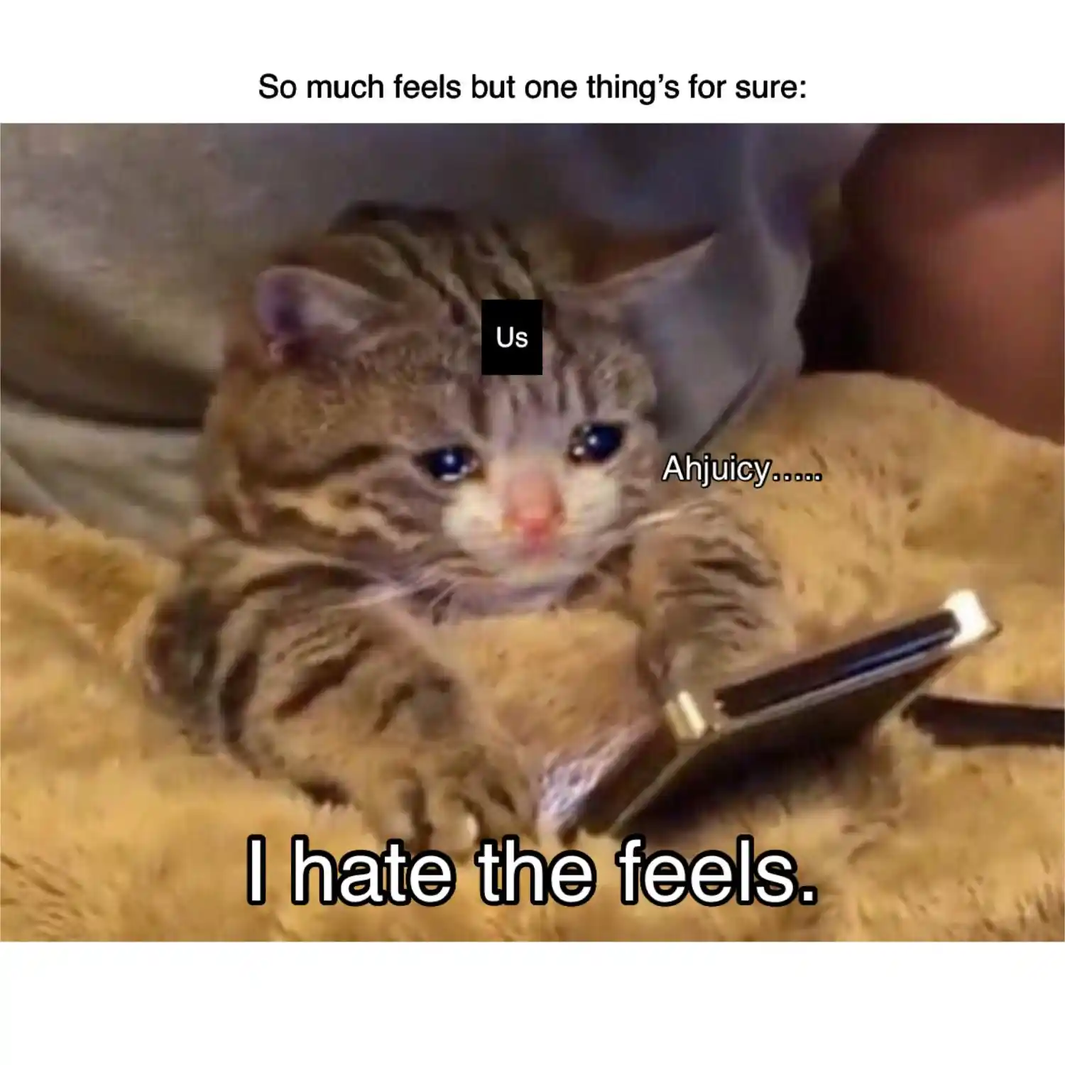 Dangerous Convenience Store Chapter 61