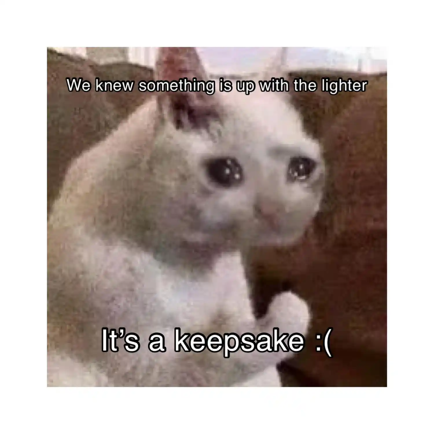 Dangerous Convenience Store Chapter 88