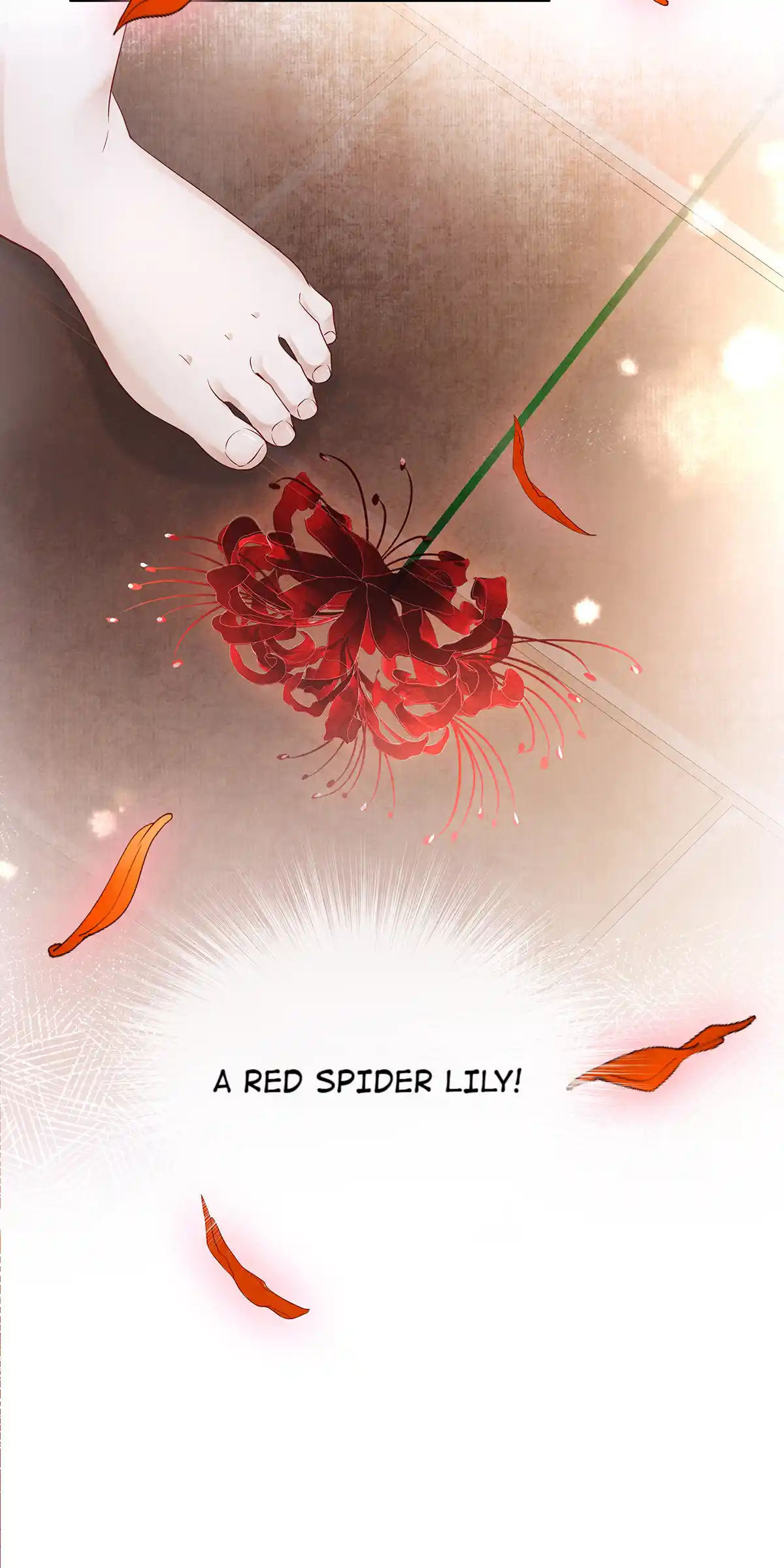 Dear Boy, You Dropped Your Integrity 155