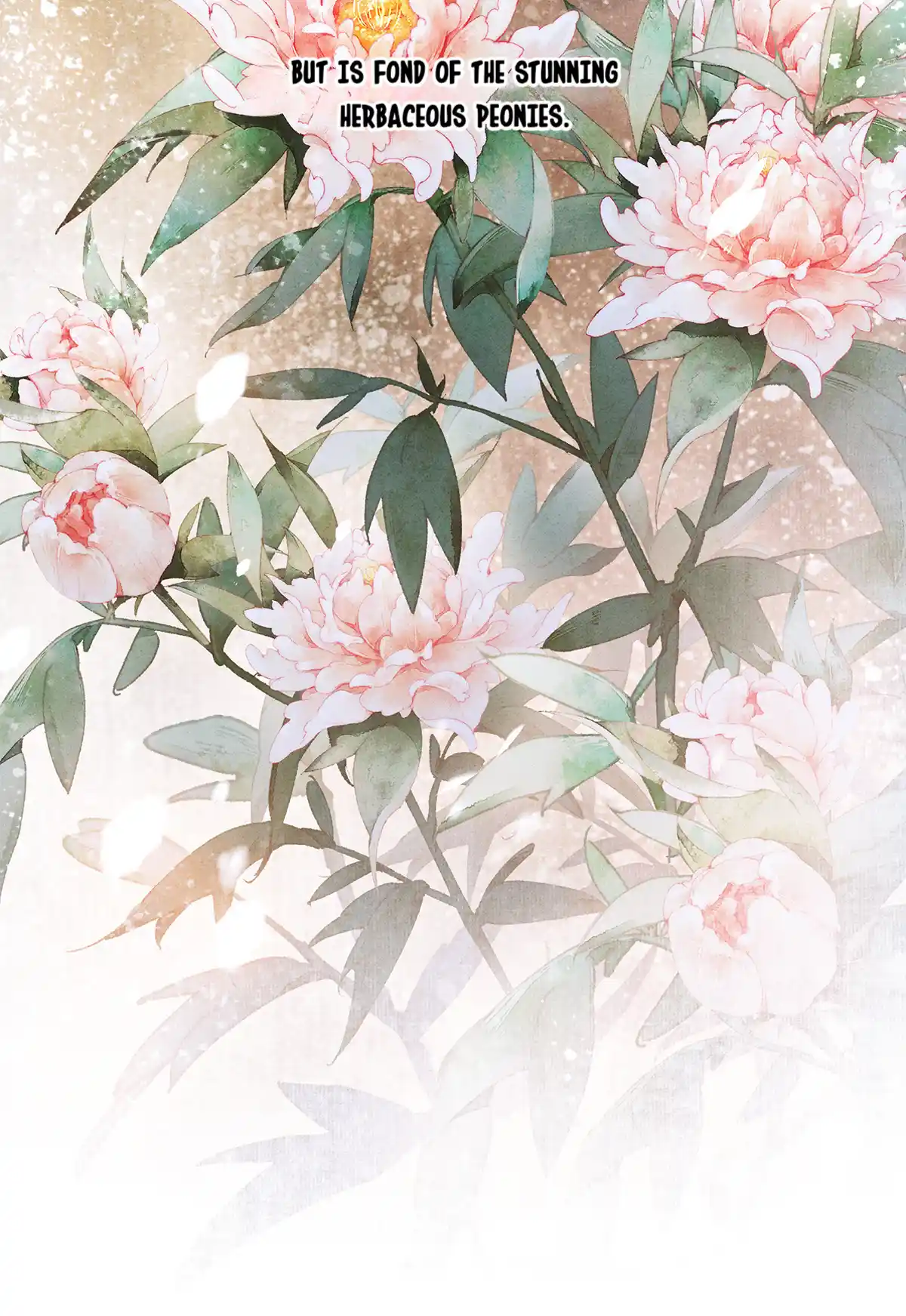 Dear Boy, You Dropped Your Integrity 161