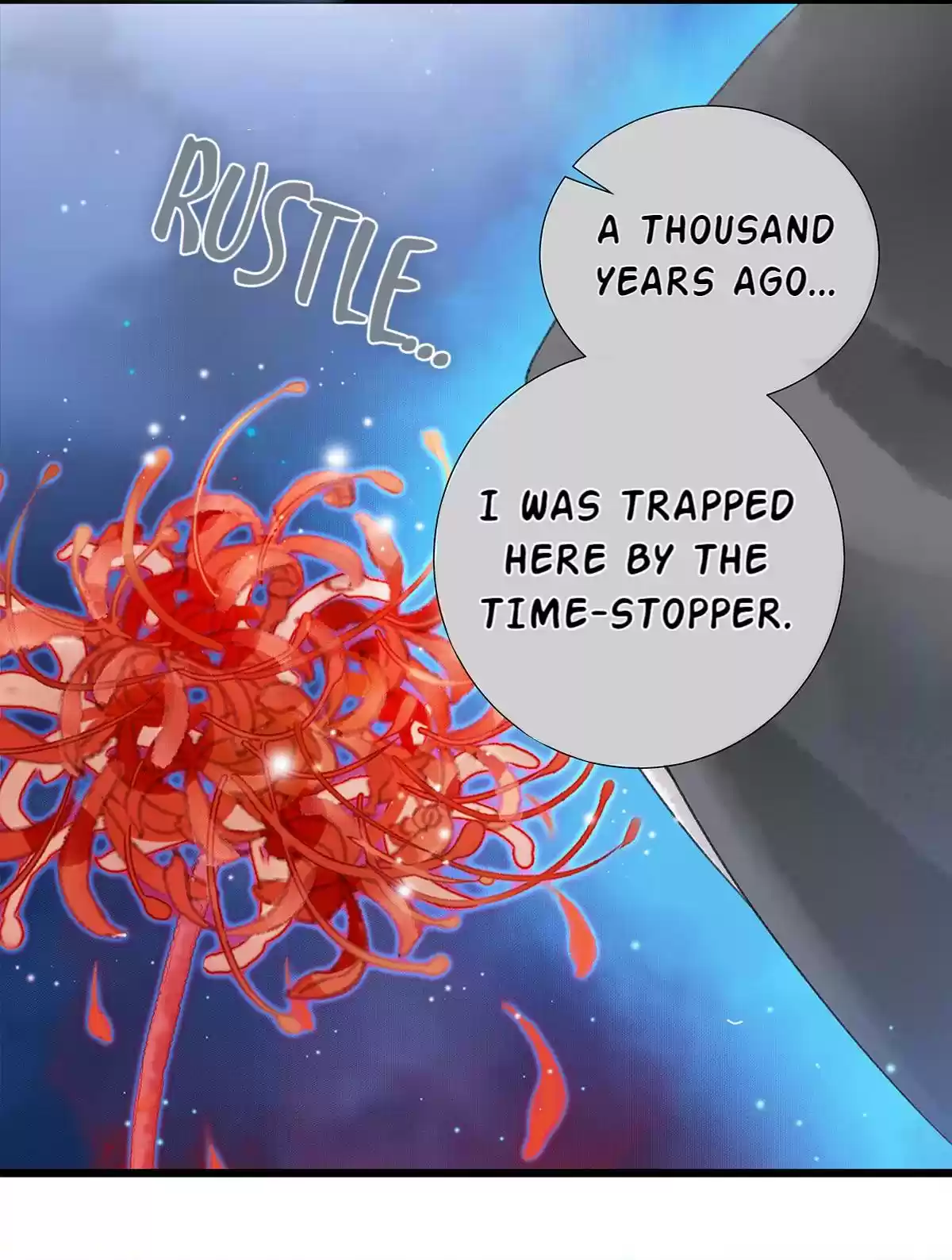 Dear Boy, You Dropped Your Integrity 30 How Dare You, Curse Master Yo!