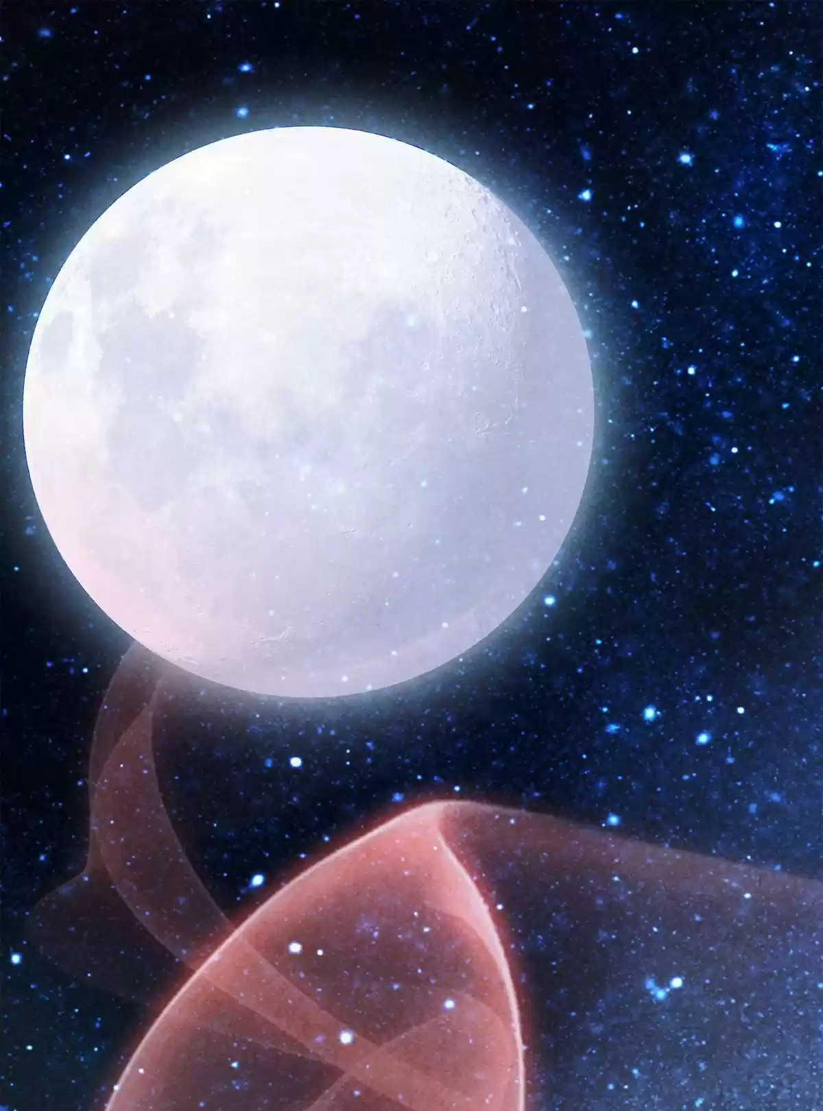 Dear Boy, You Dropped Your Integrity 38 You're My Prey Now!