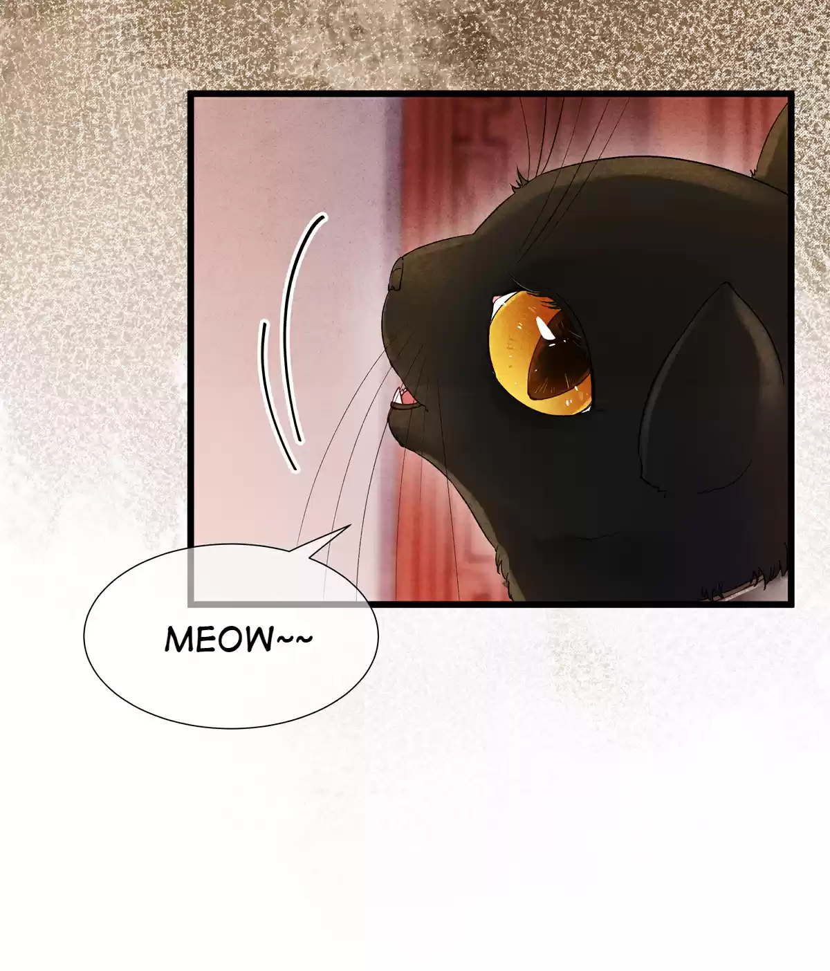 Dear Boy, You Dropped Your Integrity 77 This Is... The Night Cats Tribe's National Treasure!