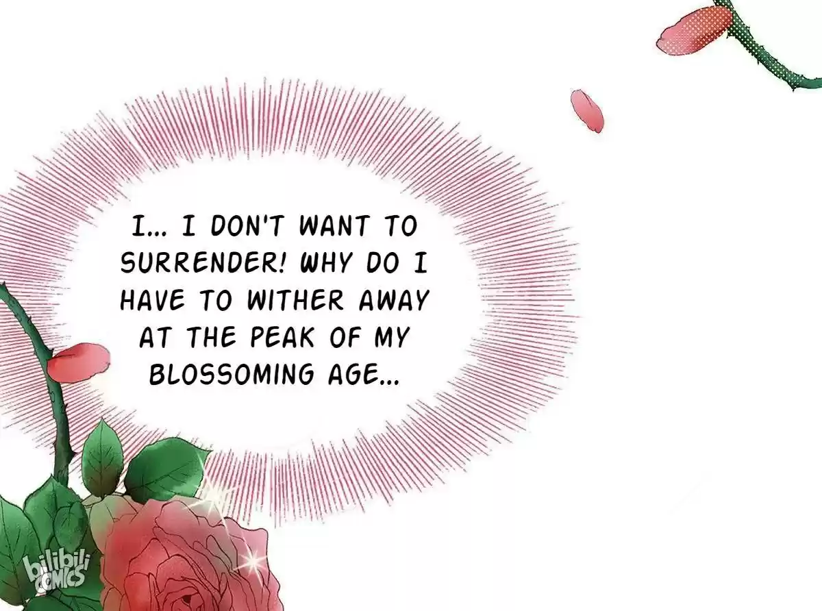 Dear Boy, You Dropped Your Integrity Chapter 1: A Disgraceful Attempt On Apprenticeship