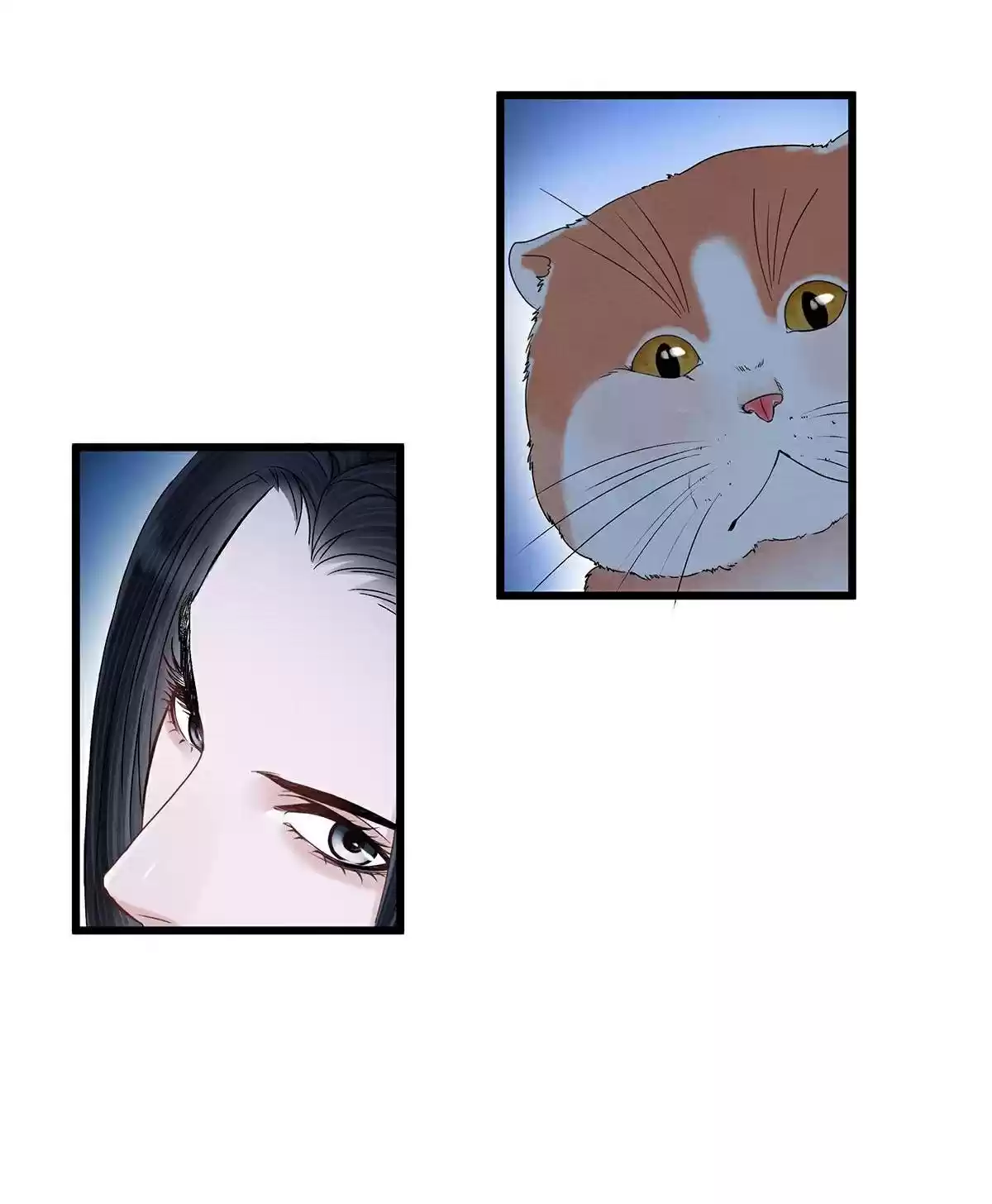 Dear Boy, You Dropped Your Integrity Chapter 4: Soul Bewitching On A Bloody Night