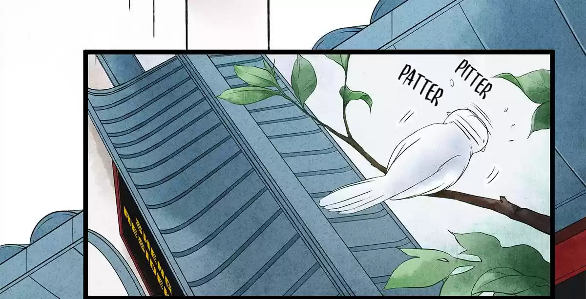 Dear Boy, You Dropped Your Integrity Vol.1 Chapter 16.0: Fell For Your Smile