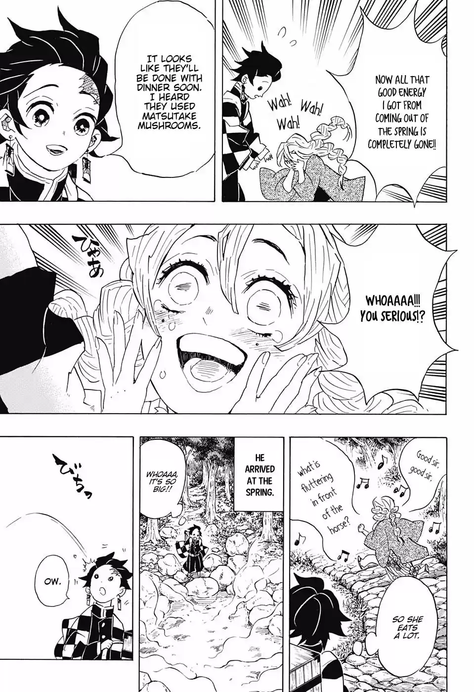 Demon Slayer: Kimetsu no Yaiba Demon Slayer Chapter 101