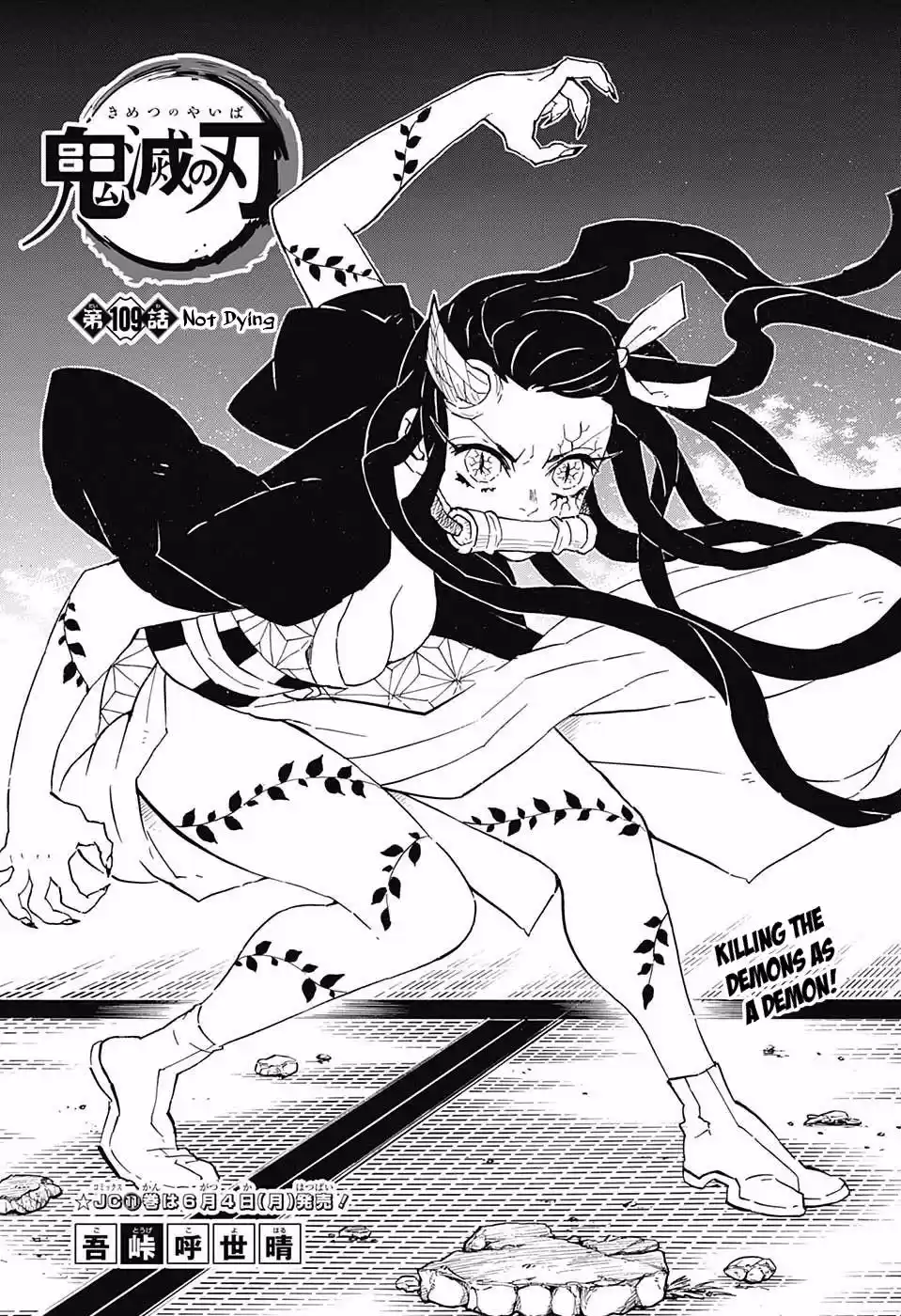 Demon Slayer: Kimetsu no Yaiba Demon Slayer Chapter 109