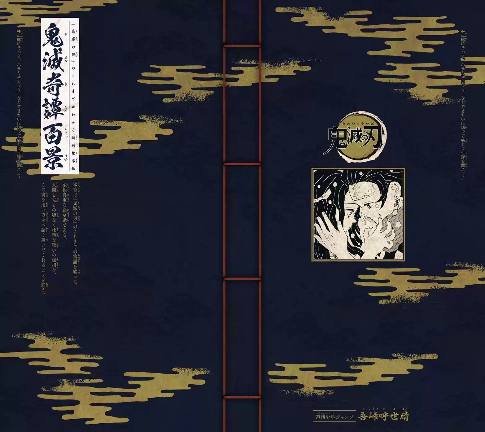 Demon Slayer: Kimetsu no Yaiba Demon Slayer Chapter 112.5